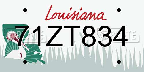 71ZT834 Louisiana License Plate