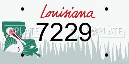7229 Louisiana License Plate