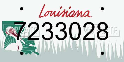7233028 Louisiana License Plate
