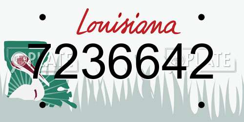 7236642 Louisiana License Plate