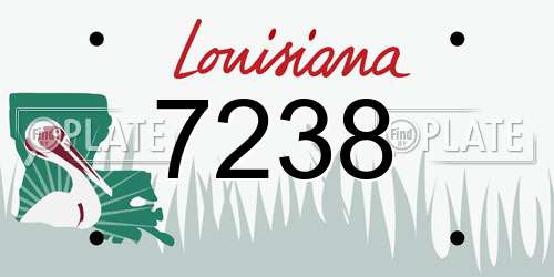 7238 Louisiana License Plate