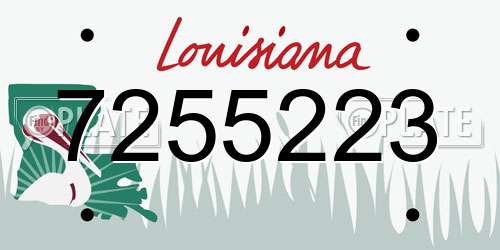 7255223 Louisiana License Plate