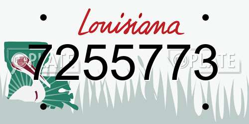 7255773 Louisiana License Plate