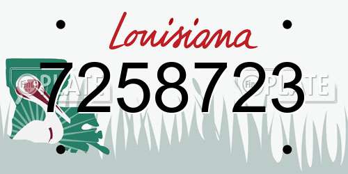 7258723 Louisiana License Plate