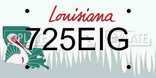 725EIG Louisiana License Plate