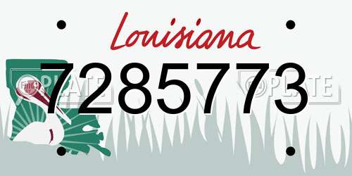 7285773 Louisiana License Plate