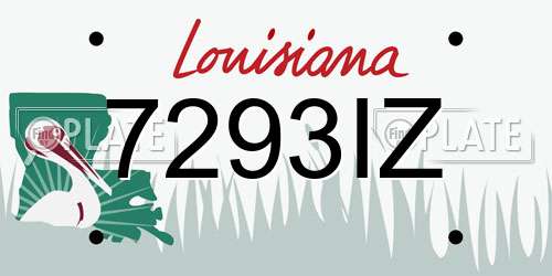 7293IZ Louisiana License Plate