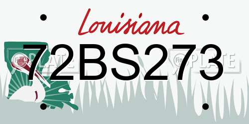 72BS273 Louisiana License Plate