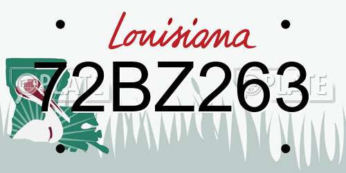 72BZ263 Louisiana License Plate