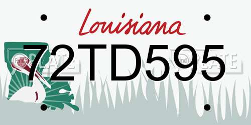 72TD595 Louisiana License Plate