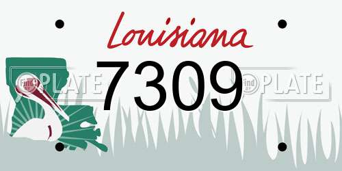 7309 Louisiana License Plate