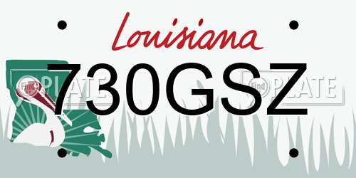 730GSZ Louisiana License Plate