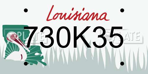730K35 Louisiana License Plate