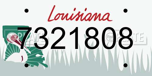 7321808 Louisiana License Plate