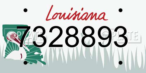 7328893 Louisiana License Plate