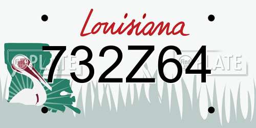 732Z64 Louisiana License Plate