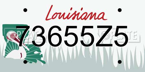 73655Z5 Louisiana License Plate