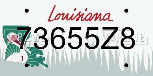 73655Z8 Louisiana License Plate