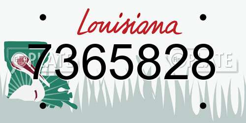 7365828 Louisiana License Plate