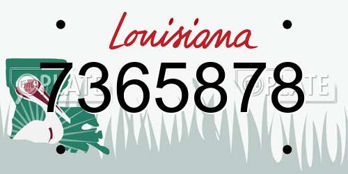 7365878 Louisiana License Plate