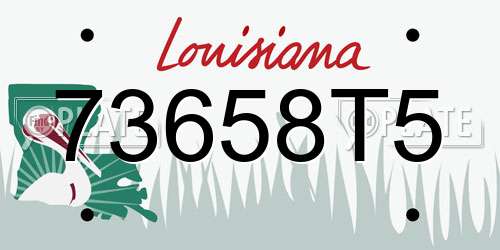 73658T5 Louisiana License Plate
