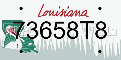 73658T8 Louisiana License Plate
