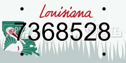 7368528 Louisiana License Plate