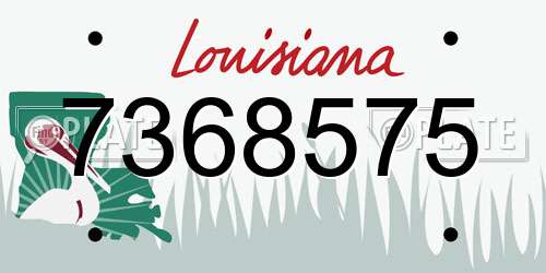 7368575 Louisiana License Plate
