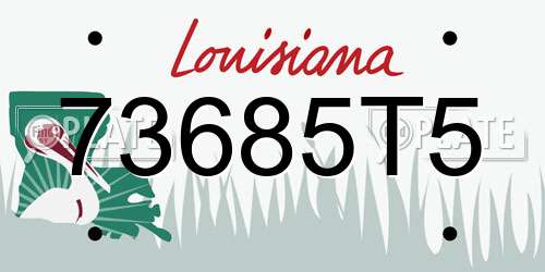 73685T5 Louisiana License Plate