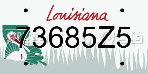 73685Z5 Louisiana License Plate