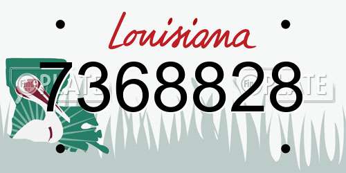 7368828 Louisiana License Plate