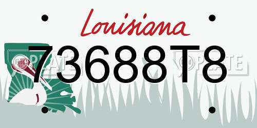 73688T8 Louisiana License Plate