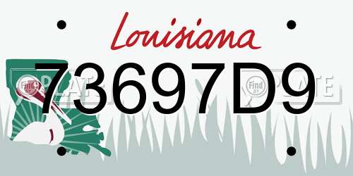 73697D9 Louisiana License Plate