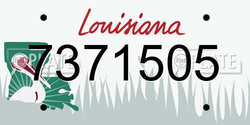 7371505 Louisiana License Plate