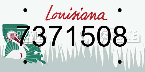 7371508 Louisiana License Plate