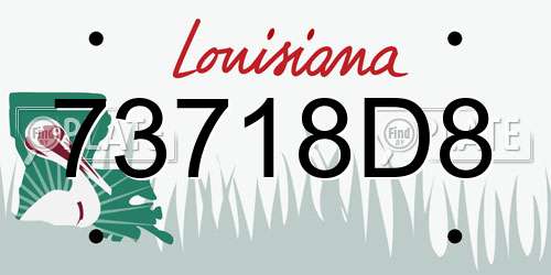 73718D8 Louisiana License Plate