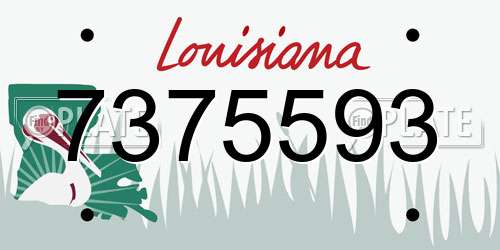 7375593 Louisiana License Plate