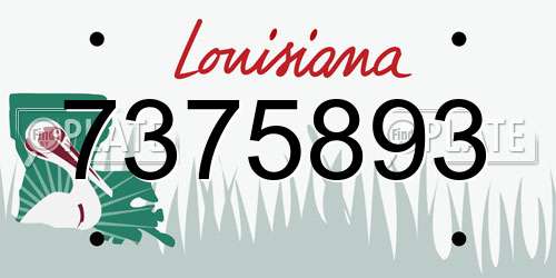 7375893 Louisiana License Plate