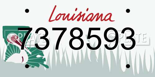 7378593 Louisiana License Plate