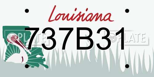737B31 Louisiana License Plate