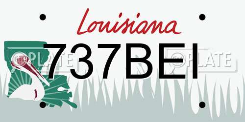 737BEI Louisiana License Plate