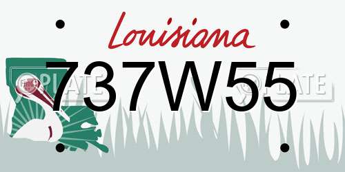 737W55 Louisiana License Plate