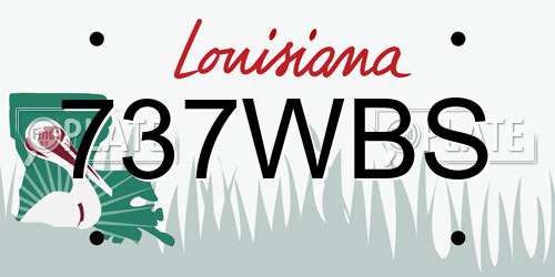 737WBS Louisiana License Plate