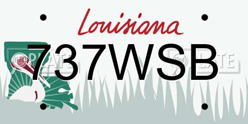 737WSB Louisiana License Plate