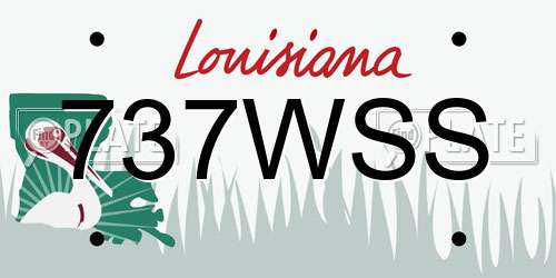 737WSS Louisiana License Plate