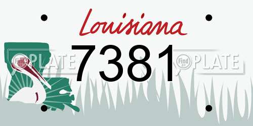 7381 Louisiana License Plate