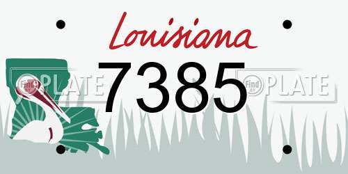 7385 Louisiana License Plate