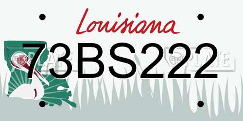 73BS222 Louisiana License Plate
