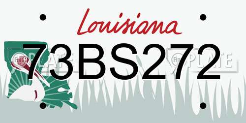 73BS272 Louisiana License Plate