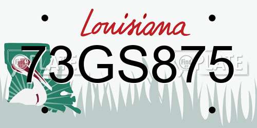 73GS875 Louisiana License Plate